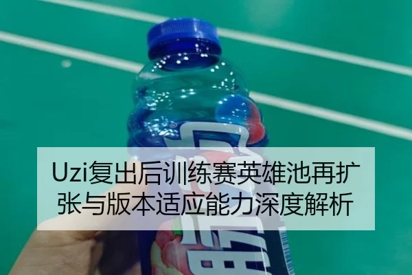 Uzi复出后训练赛英雄池再扩张与版本适应能力深度解析